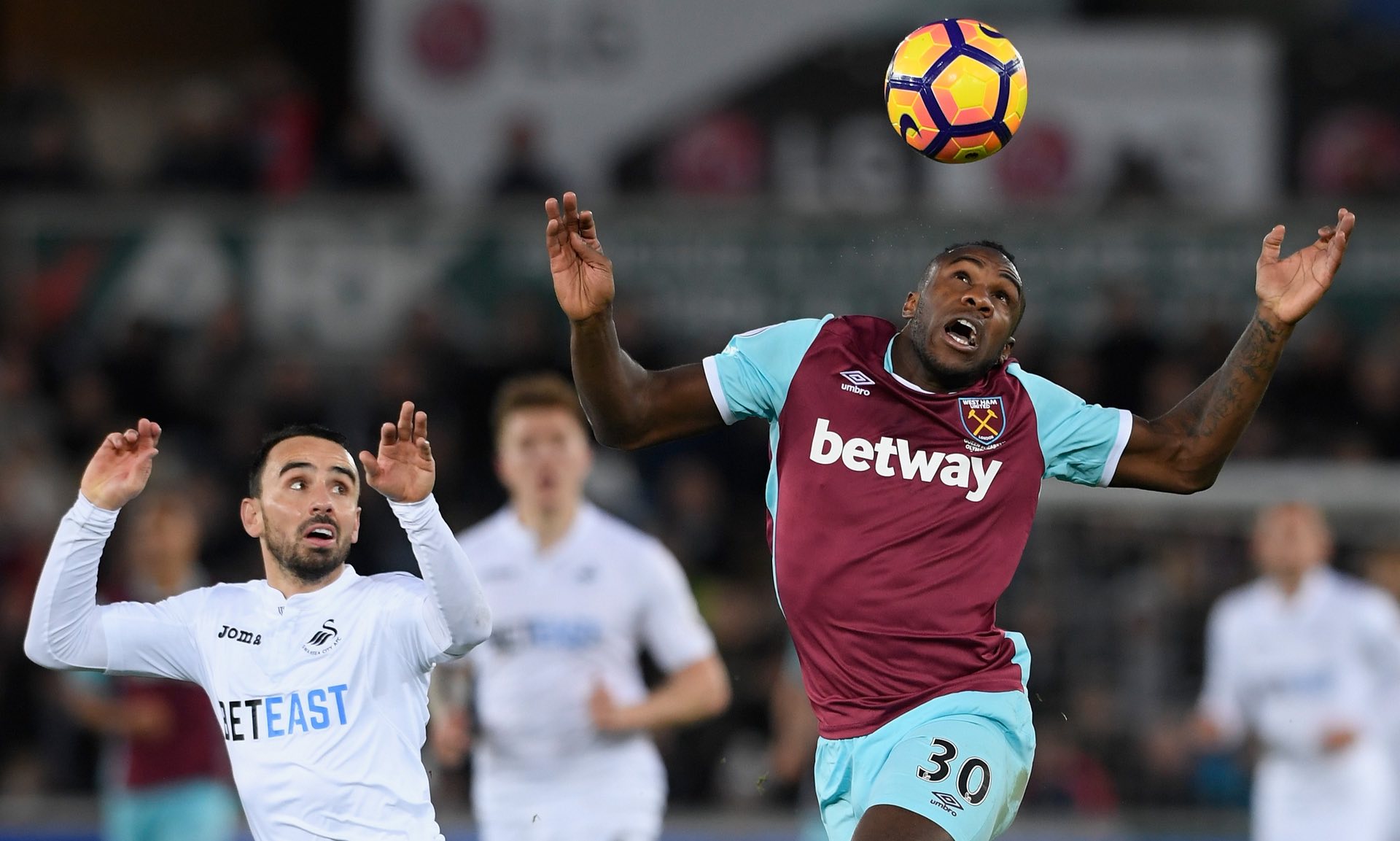 入更多活力 入更多活力